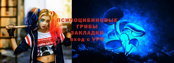 spice Верхний Тагил