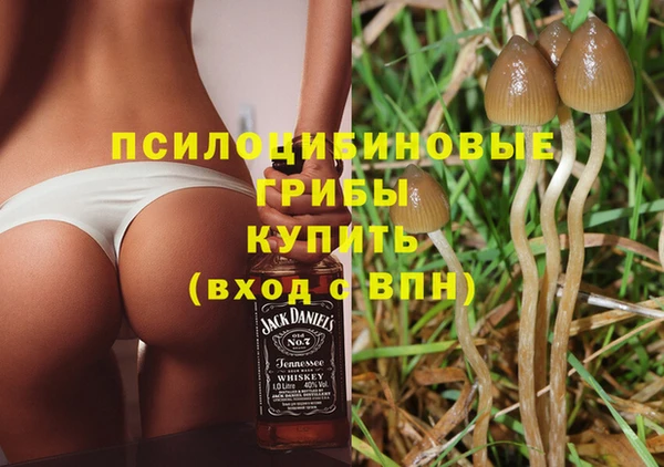 МДМА Елизово
