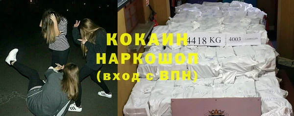 винт Бородино