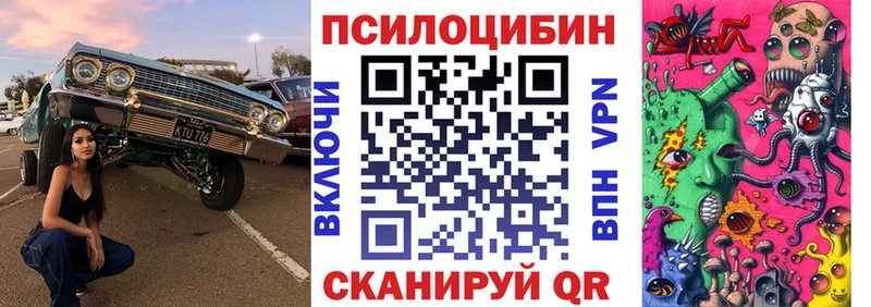 Галлюциногенные грибы Cubensis  мега ТОР  Кандалакша 