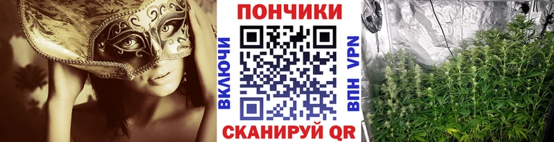 Бошки Шишки Bruce Banner  Кандалакша 
